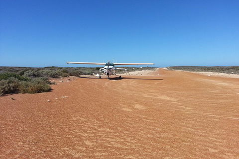 Abrolhos Islands Scenic Flight & Snorkel Adventure From Perth - New South Wales Tourism  3