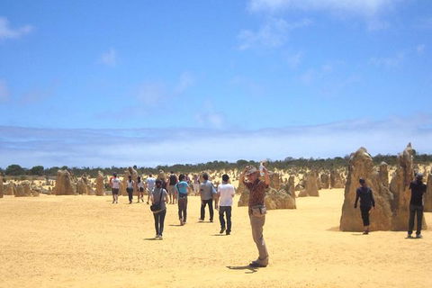 Pinnacles & Rottnest Island Scenic Air & Ground Tour - New South Wales Tourism  3