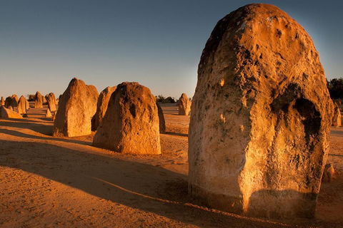 Pinnacles & Rottnest Island Scenic Air & Ground Tour - New South Wales Tourism  4