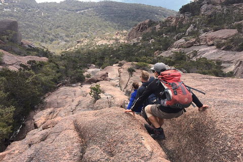 2-Day Tas East Coast Escape Tour Including Bay Of Fires, Wineglass Bay & Devils - New South Wales Tourism  2