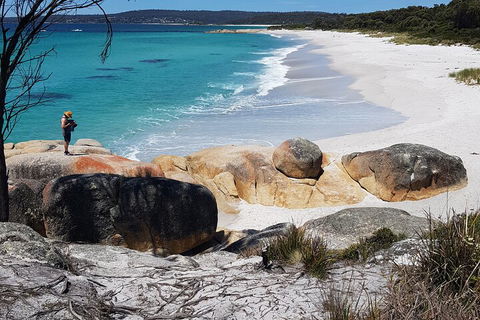 2-Day Tas East Coast Escape Tour Including Bay Of Fires, Wineglass Bay & Devils - New South Wales Tourism  4