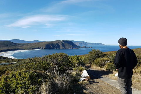 4-Day Fabulous Tasmania Tour: Wineglass Bay, Port Arthur, Devils & Bruny Island - New South Wales Tourism  0
