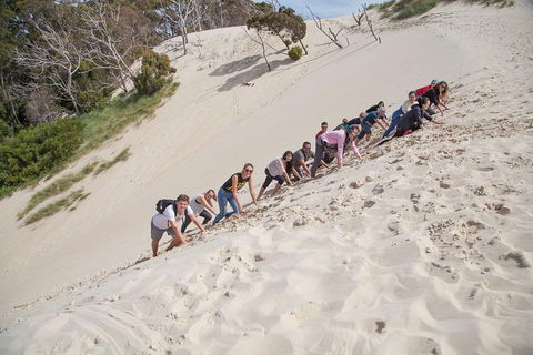 3 Day Tasmanian Wild West Coast Tour From Hobart To Launceston - New South Wales Tourism  2