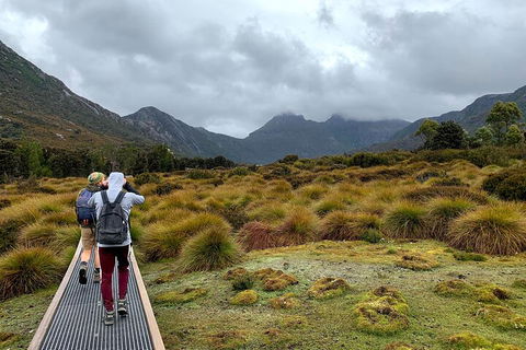 3 Day Tasmanian Wild West Coast Tour From Hobart To Launceston - New South Wales Tourism  3