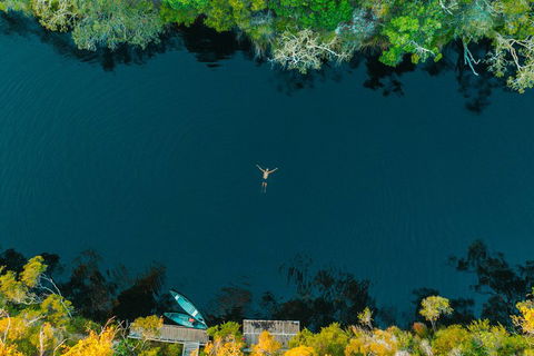 Cruise 'n' Canoe To Australia's Everglades - New South Wales Tourism  2