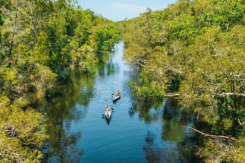 Cruise 'n' Canoe To Australia's Everglades - New South Wales Tourism  3