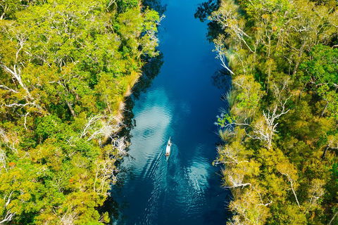 Cruise 'n' Canoe To Australia's Everglades - New South Wales Tourism  4