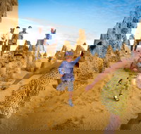 Full-Day Pinnacles Desert and Yanchep National Park Tour From Perth - New South Wales Tourism 