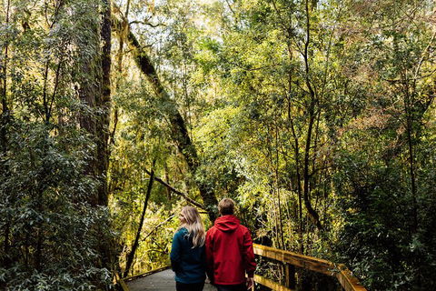 Gordon River Cruise Departing From Strahan - New South Wales Tourism  2