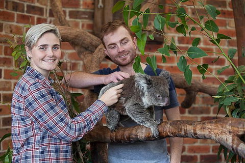 Private Tour: Blue Mountains Day Trip From Sydney - New South Wales Tourism  0