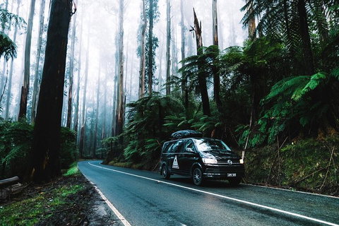 Small Group: Mornington Peninsula Hike And Hot Springs Day Tour From Melbourne - New South Wales Tourism  3