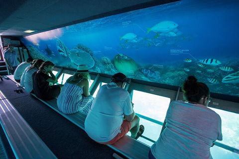 Great Barrier Reef Day Cruise To Reefworld - New South Wales Tourism  0