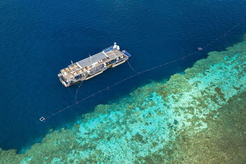 Great Barrier Reef Day Cruise To Reefworld - New South Wales Tourism  2