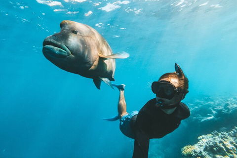Great Barrier Reef Day Cruise To Reefworld - New South Wales Tourism  3