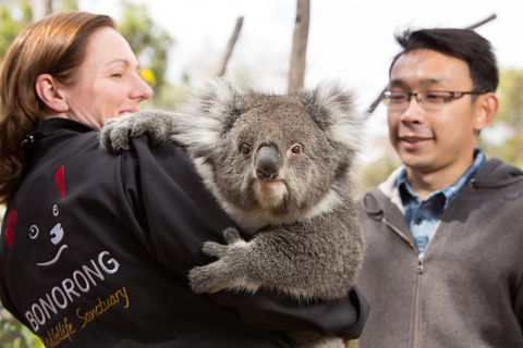 Bonorong Wildlife Park And Richmond Afternoon Tour From Hobart - New South Wales Tourism  0