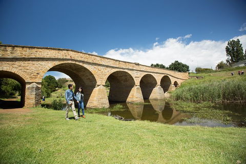 Bonorong Wildlife Park And Richmond Afternoon Tour From Hobart - New South Wales Tourism  2