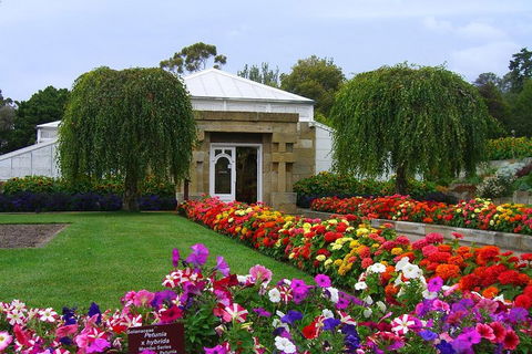 Hobart City Sightseeing Tour Including MONA Admission - New South Wales Tourism  0
