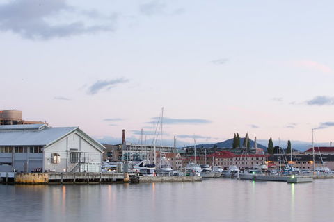 Hobart City Sightseeing Tour Including MONA Admission - New South Wales Tourism  4