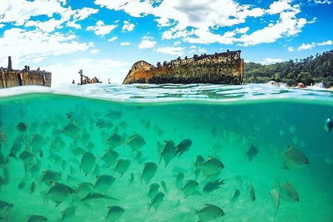 Adventure Moreton Island Day Pass - New South Wales Tourism  4