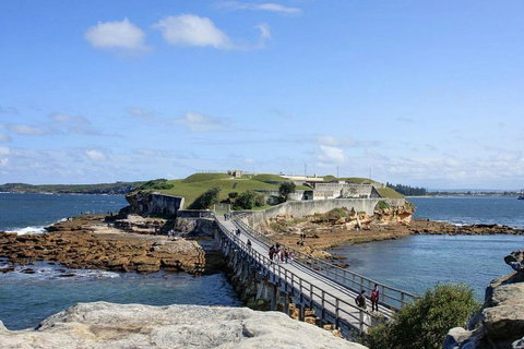 Sydney Six Beaches Trike Tour - New South Wales Tourism  0