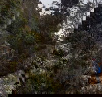 kunanyi / Mt. Wellington Guided Hiking Tour - New South Wales Tourism 