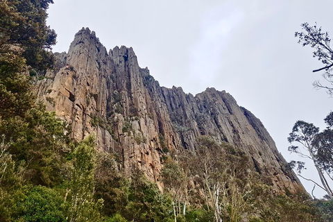 Kunanyi / Mt. Wellington Guided Hiking Tour - New South Wales Tourism  4