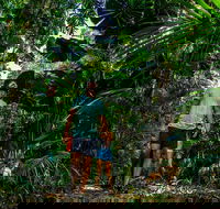 Full Day Daintree Rainforest and Mossman Gorge Tour - New South Wales Tourism 