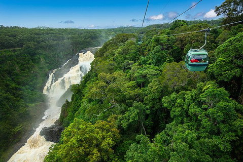 Cairns ATV Adventure Tour And Morning Skyrail - New South Wales Tourism  3