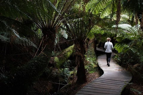 Private Tour Of Melbourne - New South Wales Tourism  2