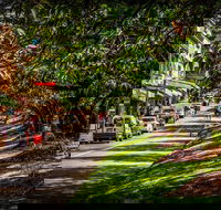 Fully Inclusive Blue Mountains Private Tour inc Scenic World  Featherdale entry - New South Wales Tourism 