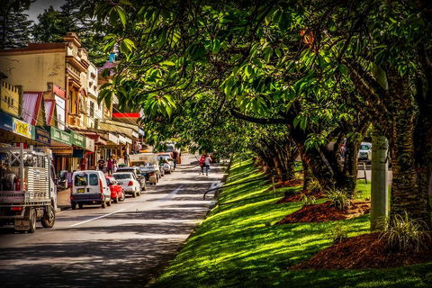 Fully Inclusive Blue Mountains Private Tour Inc Scenic World & Featherdale Entry - New South Wales Tourism  0