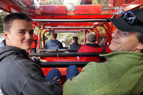 Fully Inclusive Blue Mountains Private Tour Inc Scenic World & Featherdale Entry - New South Wales Tourism  1