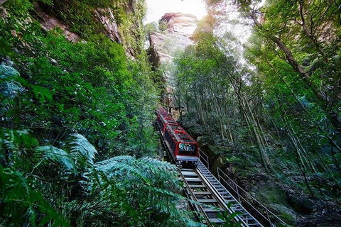 Fully Inclusive Blue Mountains Private Tour Inc Scenic World & Featherdale Entry - New South Wales Tourism  4
