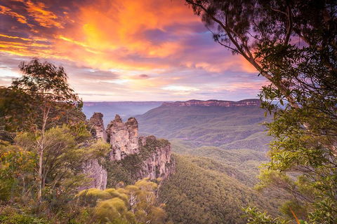 Fully Inclusive Blue Mountains Private Tour Inc Scenic World & Featherdale Entry - New South Wales Tourism  5