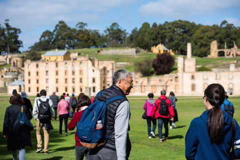 Port Arthur Express Shuttle - New South Wales Tourism  4