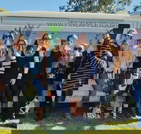 Full Day Mount Tamborine Winery Tour from Gold Coast - New South Wales Tourism 