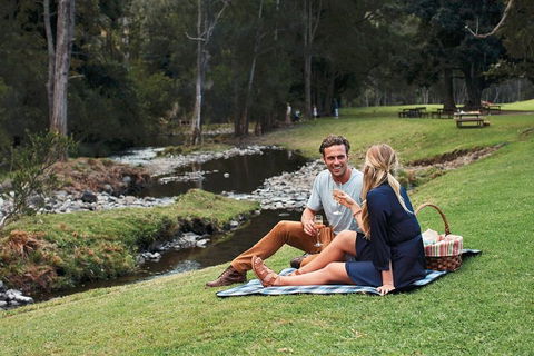 Mt Tamborine - Hinterland Wonders Self Guided - New South Wales Tourism  0