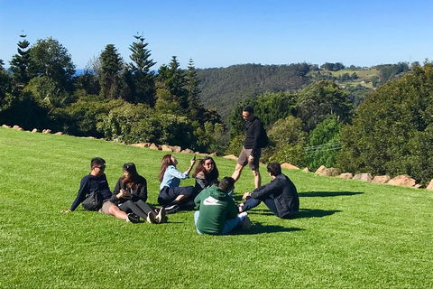 Mt Tamborine - Hinterland Wonders Self Guided - New South Wales Tourism  1
