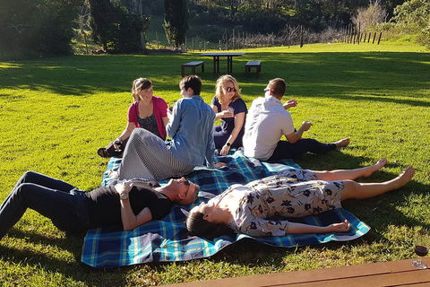 Mt Tamborine - Hinterland Wonders Self Guided - New South Wales Tourism  2