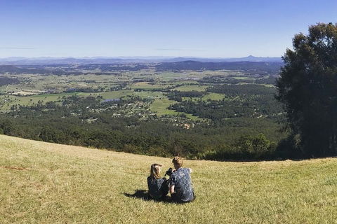 Mt Tamborine - Hinterland Wonders Self Guided - New South Wales Tourism  4