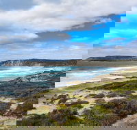 Kangaroo Island Luxury Small Group 'East End Explorer' Full Day Tour - New South Wales Tourism 