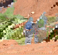 Afternoon Kata Tjuta Small Group Tour - New South Wales Tourism 