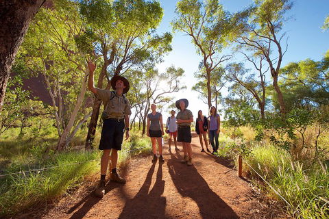Uluru Small Group Tour Including Sunset - New South Wales Tourism  0