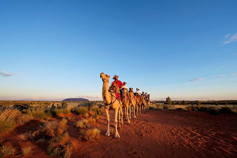 Uluru Small-Group Tour By Camel At Sunrise Or Sunset - New South Wales Tourism  3