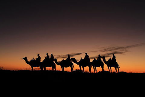 Uluru Small-Group Tour By Camel At Sunrise Or Sunset - New South Wales Tourism  4