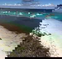 Experience Rottnest with Ferry  Bike Hire from Perth or Fremantle - New South Wales Tourism 