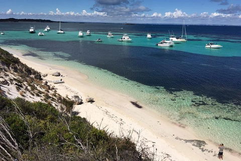 Experience Rottnest With Ferry & Bike Hire From Perth Or Fremantle - New South Wales Tourism  0