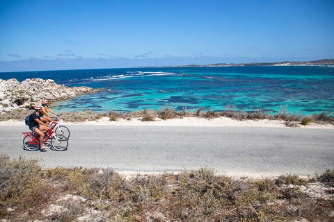 Experience Rottnest With Ferry & Bike Hire From Perth Or Fremantle - New South Wales Tourism  2