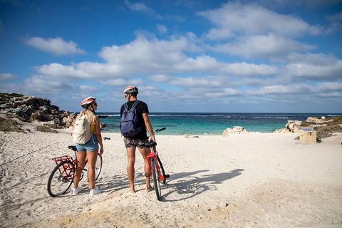 Experience Rottnest With Ferry & Bike Hire From Perth Or Fremantle - New South Wales Tourism  5