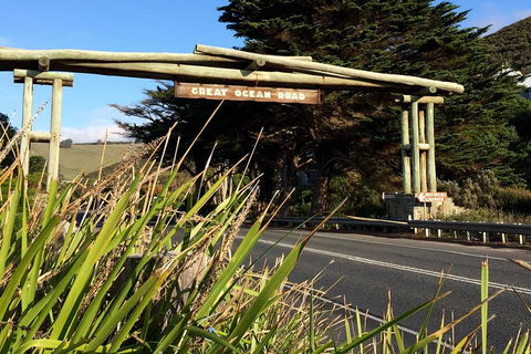 2-Day Great Ocean Road, Mornington Peninsula And Phillip Island Tour - New South Wales Tourism  4